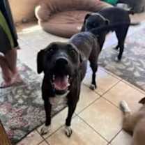 Thumbnail photo of Corina #4