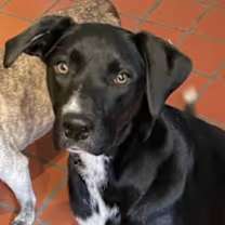 Thumbnail photo of Magic #3