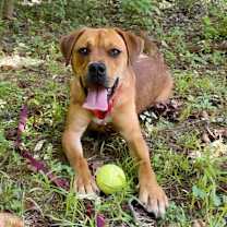 Thumbnail photo of Stella #1