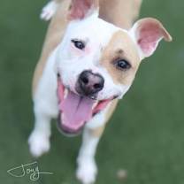 Thumbnail photo of Camp #2