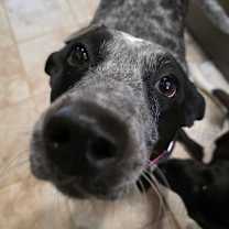 Thumbnail photo of Lucy #2