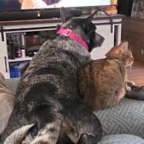 Thumbnail photo of Lucy #3