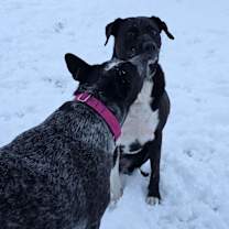 Thumbnail photo of Lucy #4