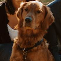 Thumbnail photo of Charlie #3