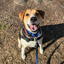 Thumbnail photo of Chance #1