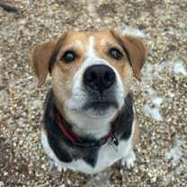 Thumbnail photo of Chance #3