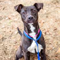 Thumbnail photo of Victoria #1