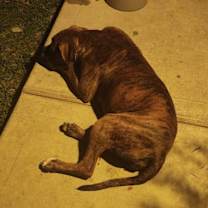 Thumbnail photo of Massie  #2