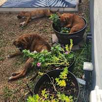 Thumbnail photo of Khloe #3