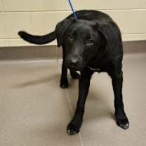 Thumbnail photo of Noel #2