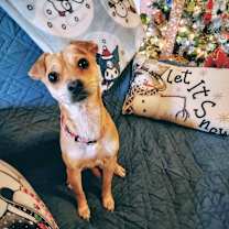 Thumbnail photo of Kendall #1