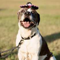 Thumbnail photo of Ernie #1