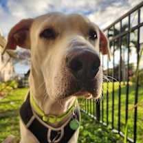 Thumbnail photo of Jake #1