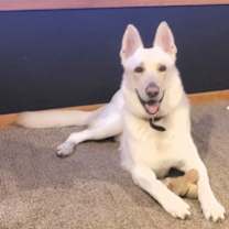 Thumbnail photo of Nando #1