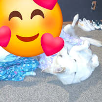 Thumbnail photo of Nando #2