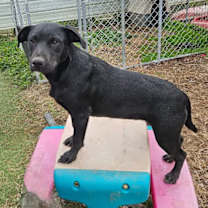 Thumbnail photo of Wilma #1