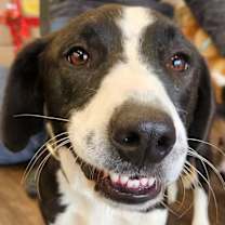 Thumbnail photo of Poncho #4