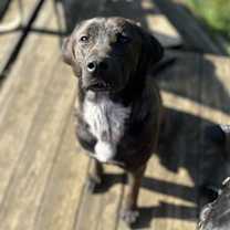 Thumbnail photo of Zeus #2