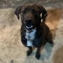 Thumbnail photo of Zeus #4