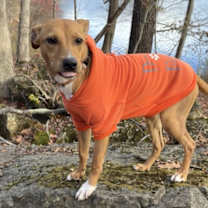 Thumbnail photo of Clover #1