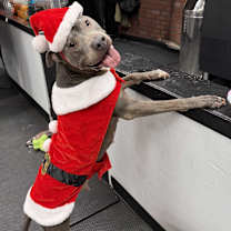 Thumbnail photo of Yum Yum #1