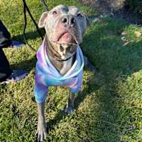 Thumbnail photo of Yum Yum #4