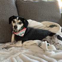 Thumbnail photo of Maisie #1