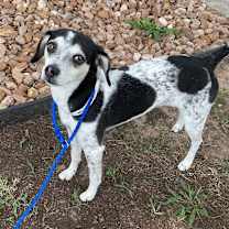 Thumbnail photo of Maisie #2