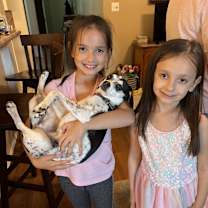 Thumbnail photo of Maisie #4