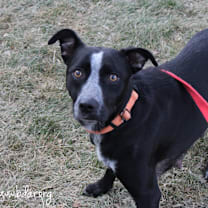 Thumbnail photo of Carol #1