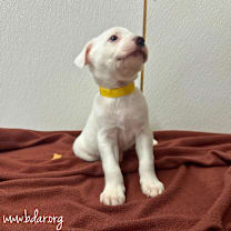 Thumbnail photo of Cindy #1