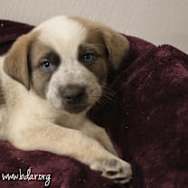 Thumbnail photo of Greg #1