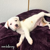 Thumbnail photo of Peter #1