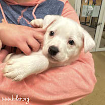 Thumbnail photo of Cindy #2