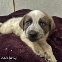 Thumbnail photo of Greg #2