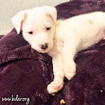 Thumbnail photo of Peter #2