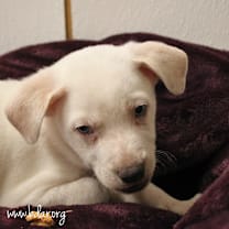 Thumbnail photo of Bobby #2