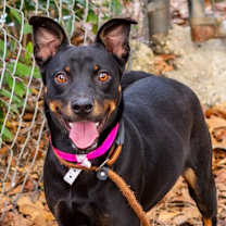 Thumbnail photo of Daisy Day #3