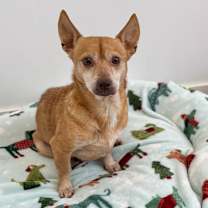 Thumbnail photo of Earl #1