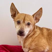 Thumbnail photo of Earl #2