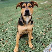 Thumbnail photo of Mama Bear #2