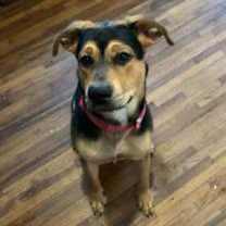 Thumbnail photo of Mama Bear #3