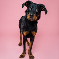 Thumbnail photo of Smalls #1