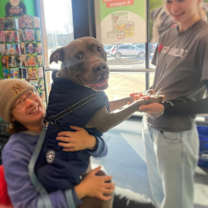 Thumbnail photo of Kelso #2