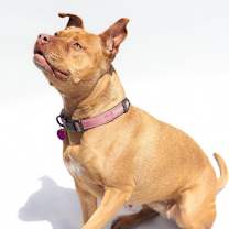 Thumbnail photo of Maria #1