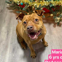 Thumbnail photo of Maria #2