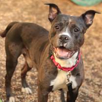 Thumbnail photo of Kratos  #1