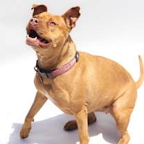 Thumbnail photo of Maria #4