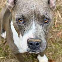 Thumbnail photo of Magnolia AKA Nolie #1