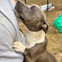 Thumbnail photo of Magnolia AKA Nolie #2